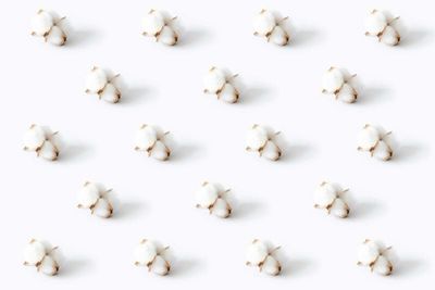 Cotton Kicking Off Thursday with a Slight Correction